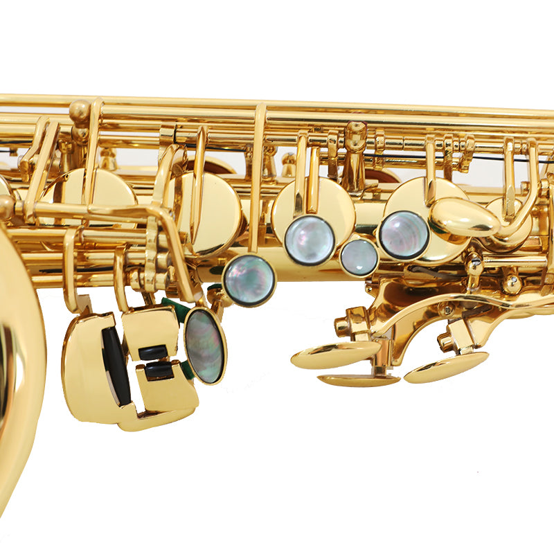 Saxofón Alto Alex semiprofesional AAS-300