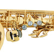 Saxofón Alto Alex semiprofesional AAS-300