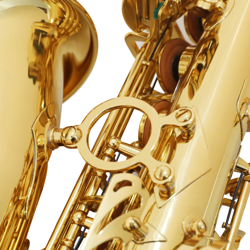 Saxofón Alto Alex semiprofesional AAS-300