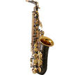 Saxofón Alto Alex semiprofesional AAS-300NG