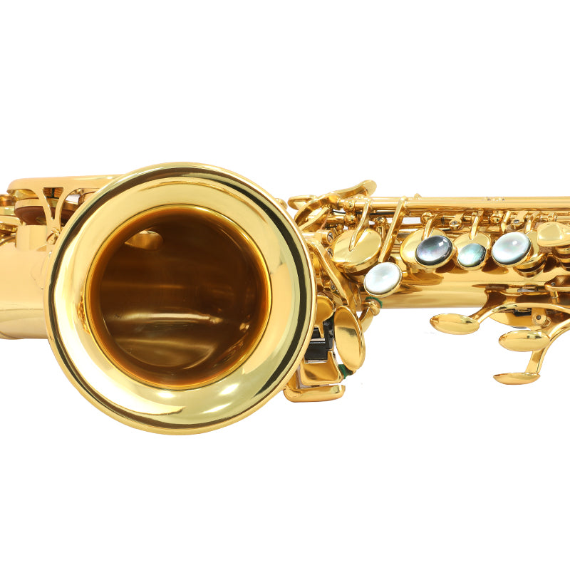 Saxofón Soprano Alex semiprofesional ACS-200