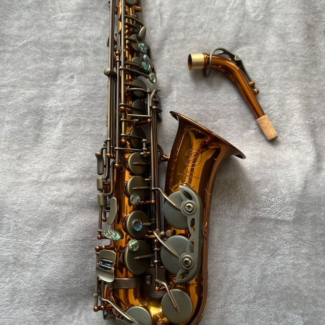 Saxofón Alto ZYORA Academy Series