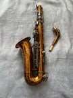 Saxofón Alto ZYORA Academy Series